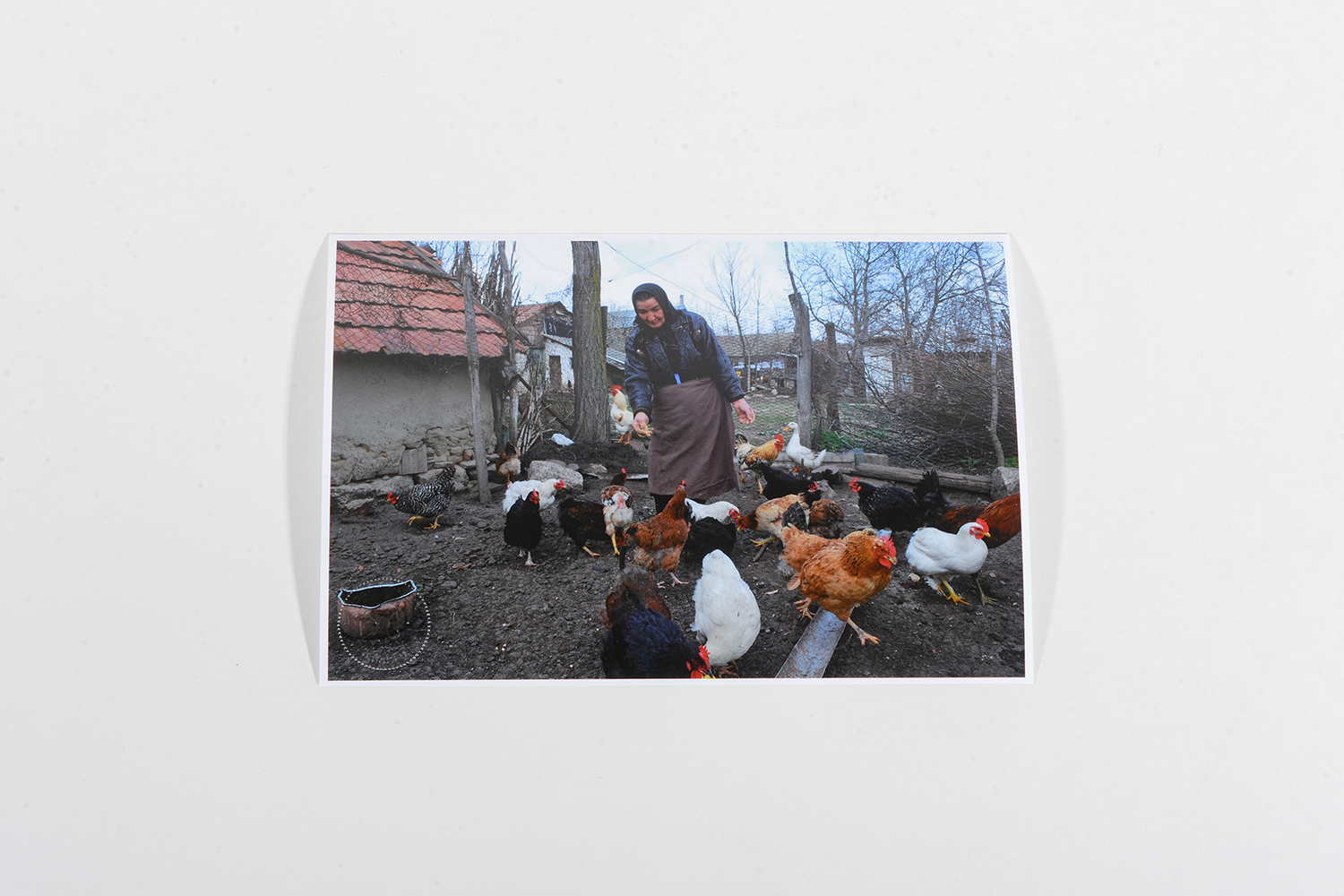 Woman in Chicken Coop_Romania_Travel_2006_1071